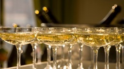 Das Beitragsbild des Dok 5  "Perlen im Glas: Eine Reise durch die Welt des Schaumweins" zeigt mehrere gefüllte Champagnergläser