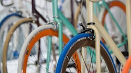 Das Beitragsbild des Dok 5 "Auf Touren? Wirtschaftsfaktor Fahrrad" zeigt Fahrräder mit bunten Reifen, die nebeneinander aufgereiht in einem Fahrradgeschäft stehen.