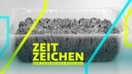 Symbolbild zum Thema Lebensmittelverschwendung: Verdorbenes Hackfleisch in Plastik Verpackung. 