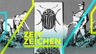 Bekämpfung des Kartoffelkäfers / Plakat
