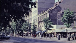 Mitte der 50er Jahre ist auf der Königsallee in Düsseldorf geschäftiges Treiben zu beobachten.