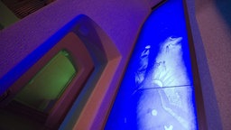Das WDR3 Kulturfeature Beitragsbild "Im Astral-Bereich" zeigt den grossen Saal im Goetheanum in Dornach.