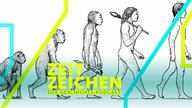 Symbolbild Evolution