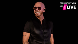 Pitbull