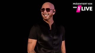 Pitbull