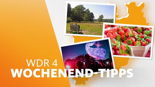 Umriss einer NRW-Karte mit Bildern zu verschiedenartigen sommerlichen Unternehmungen