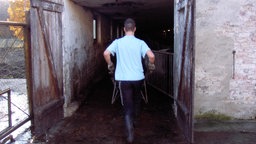 Das Beitragsbild des Dok5 "Alle laufen weg. Einer fällt hin." zeigt einen Jugendlichen bei der Stallarbeit auf einem Therapiebauernhof. 