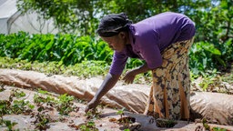 Das Beitragsbild des WDR5 Dok5 Feature "Die Erntemacher" zeigt eine junge Bäuerin bei der Feldarbeit im Bukura Agricultural Training Centre in Kenia.