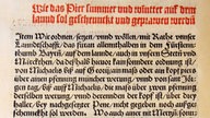 Bayerisches Reinheitsgebot, Urkunde 