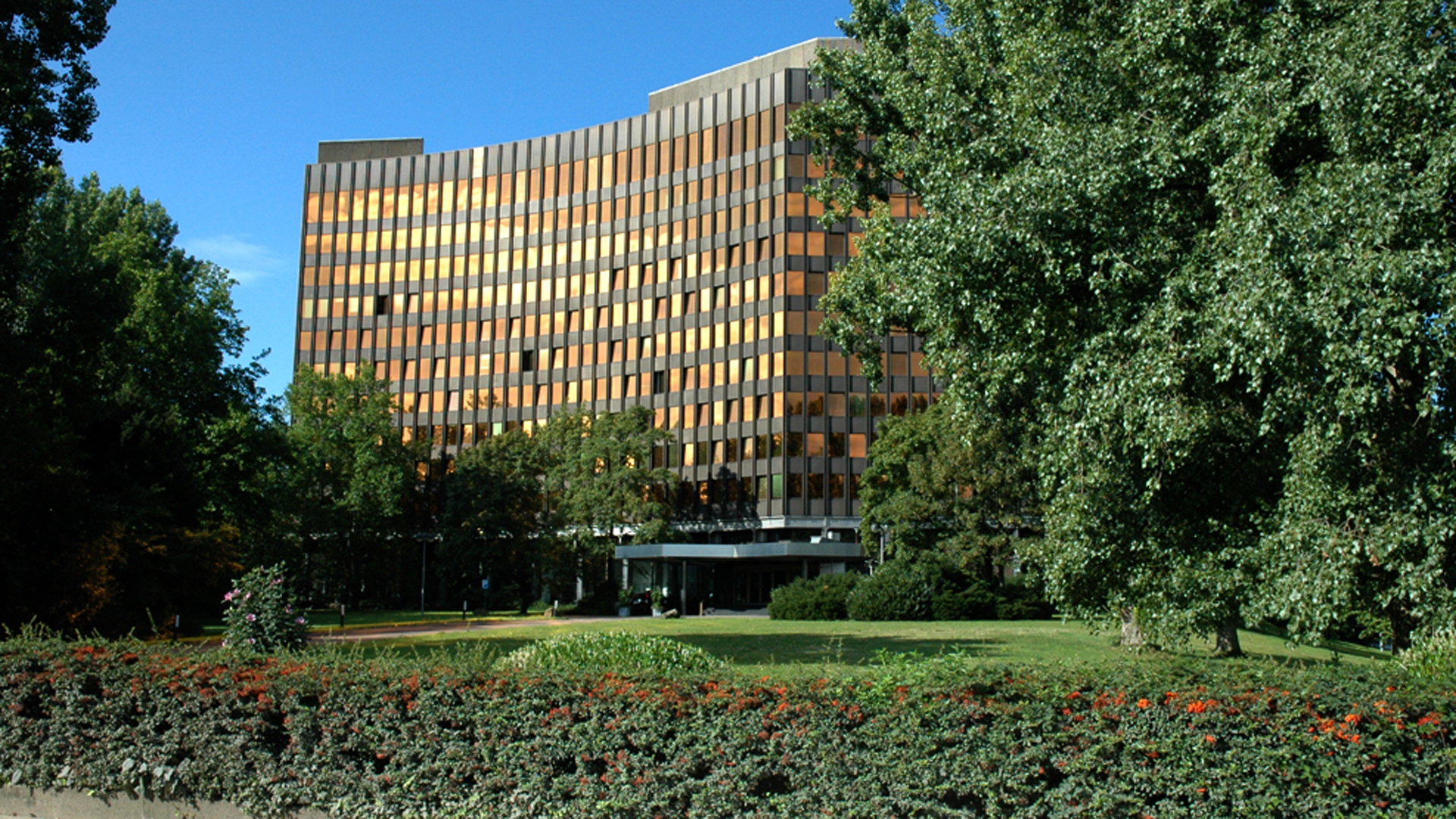 Ehemaliges Gebäude des Bundesverbandes der Deutschen Industrie am Kölner Rheinufer