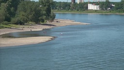 Eine Bucht am Rhein. Menschen stehen im Wasser