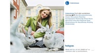 Lindenstraße bei Instagram