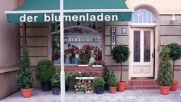Lindenstraße - Lokale