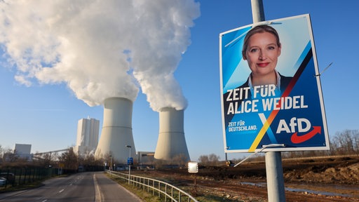 Das Bild zeigt ein AfD-Wahlplakat vor einem Kraftwerk. 