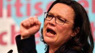 Andrea Nahles, SPDFraktionsvorsitzende