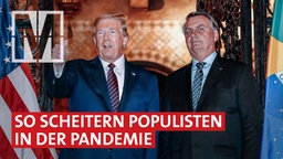 Trump, Bolsonaro & Co.