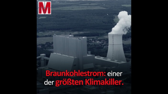 Braunkohle
