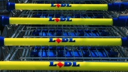 Eine Reihe mit Lidl-Einkaufswagen