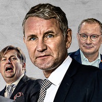 Das Bild zeigt eine Kollage mit verschiedenen Personen wie Björn Höcke und Martin Sellner.