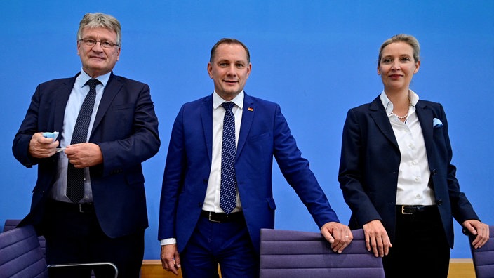 Jörg Meuthen, Alice Weidel und Tino Chrupalla