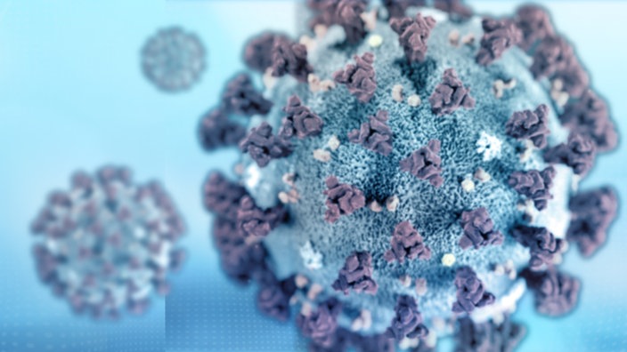 Corona Virus