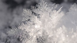 Nahaufnahme einer Schneeflocke/eines Schneekristalls