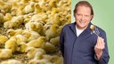 Das Bild zeigt Björn Freitag. Im Hintergrund sieht man ganz viele Küken.