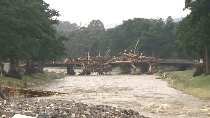 Ein Fluss mit einer zerstörten Brücke und ganz viel abgebrochenen Bäumen.