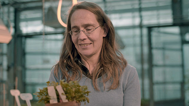 Eine Frau hält einen Blumentopf in den Händen