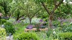 Garten von Iris Leonhardt