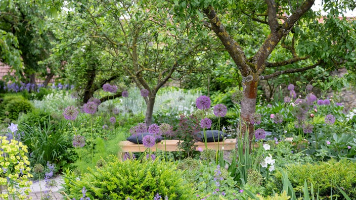 Garten von Iris Leonhardt