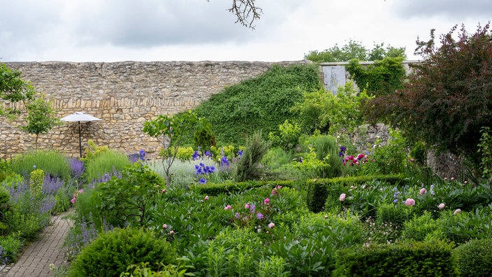 Blick auf die alte Steinmauer in Iris Leonhardts Garten. 