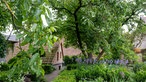 Blick in den Garten von Iris Leonhardt