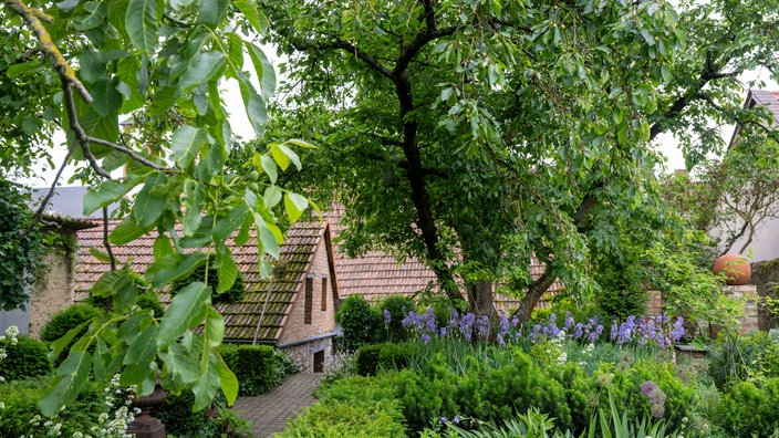 Blick in den Garten von Iris Leonhardt