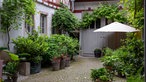Innenhof von Iris Leonhardts Haus. 