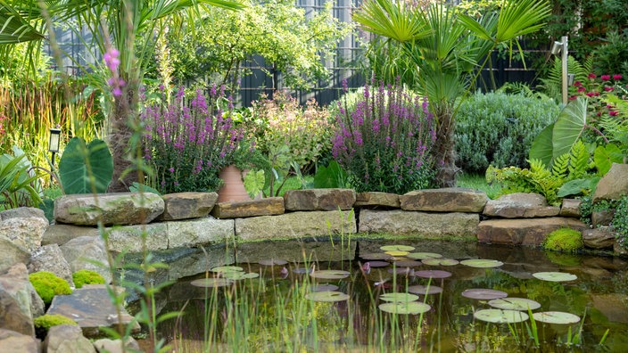 Naturteich im Garten von Jacky Uda