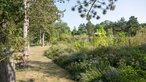 Blick auf den Garten von Markus Gaißl
