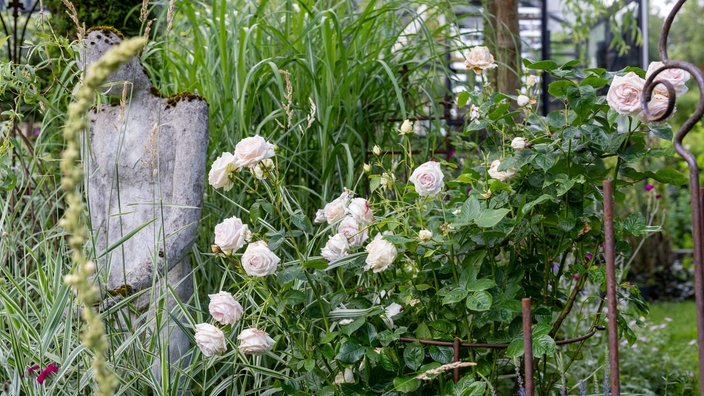 Blick in den Garten von Peter Mecklenburg mit Skulptur.