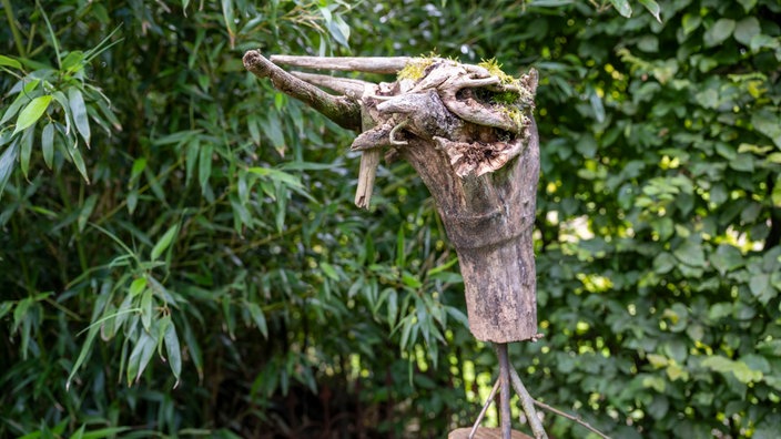 Steele mit Wurzel, vonPeter Mecklenburg