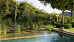 Blick auf den Pool im Garten von Petra Wichert.
