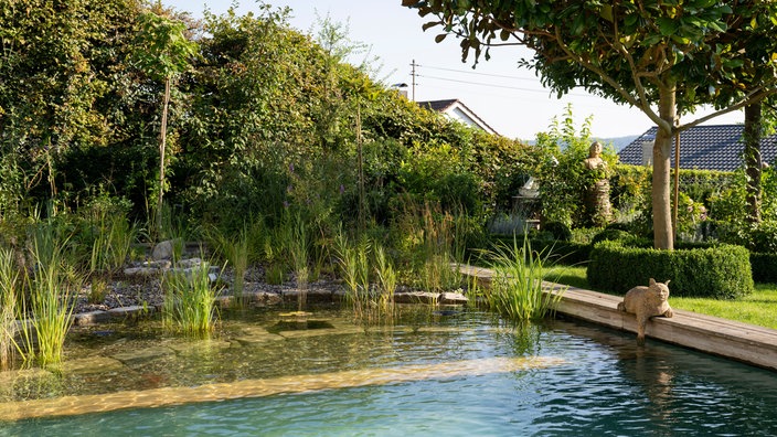 Blick auf den Pool im Garten von Petra Wichert.