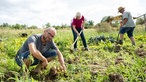 Torben Sauerland arbeitet im Garten mit seinen Eltern. 