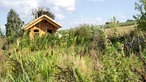 Torben Sauerlands Garten, im Hintergrund sein Tinyhaus. 