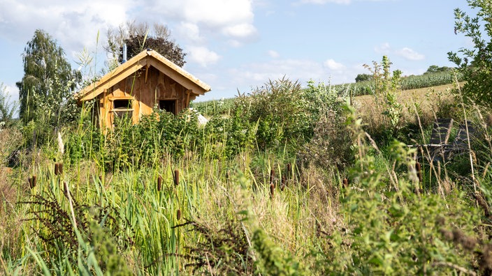 Torben Sauerlands Garten, im Hintergrund sein Tinyhaus. 