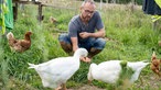 Torben Sauerland in seinem Garten mit Gänsen und Hühnern.  