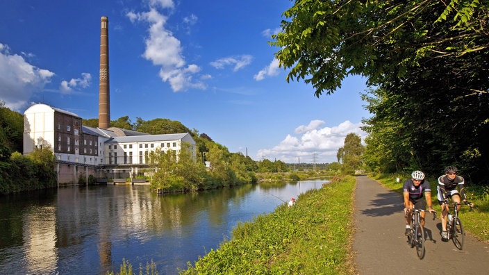 Blick auf die Ruhr, im Vordergrund eine Allee mit Radweg, im Hintergrund die Horster Mühle