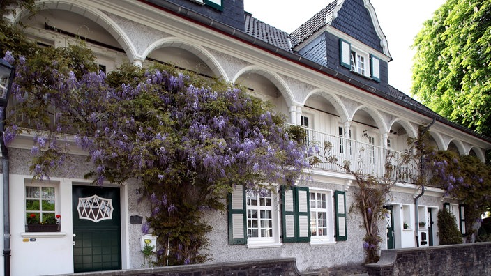 Fassade in der Essener Siedlung Margarethenhöhe. Rankpflanzen und Blumen in Kübeln verzieren das weiße Haus.