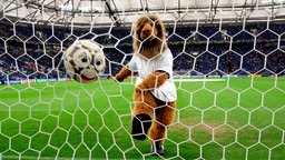 Fußballmaskottchen hinter dem Netz