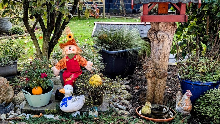 Herbstdekoration