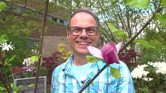 Markus Philipen hält Magnolie.